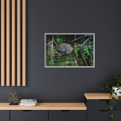 Untitled (Painted Turtle) | Framed Canvas