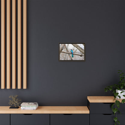 Citrine Trogon | Framed Canvas