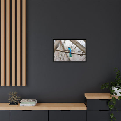 Citrine Trogon | Framed Canvas