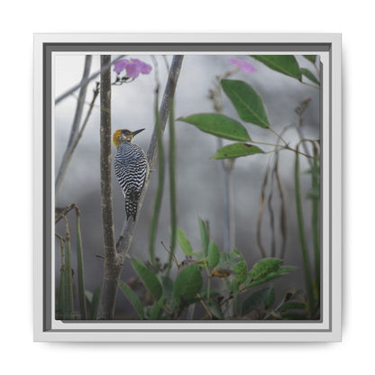Golden Cheek | Framed Canvas