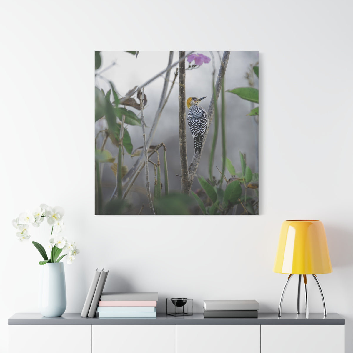 Golden-Cheeked Woodpecker | Canvas Print