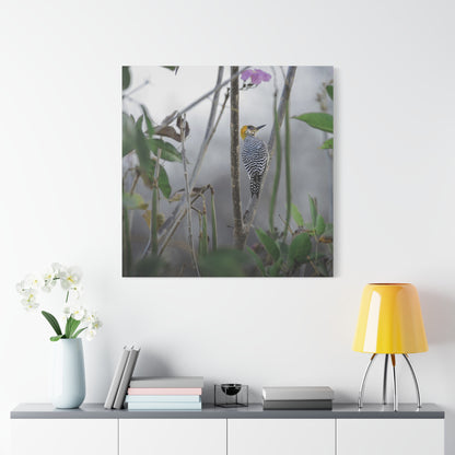Golden-Cheeked Woodpecker | Canvas Print