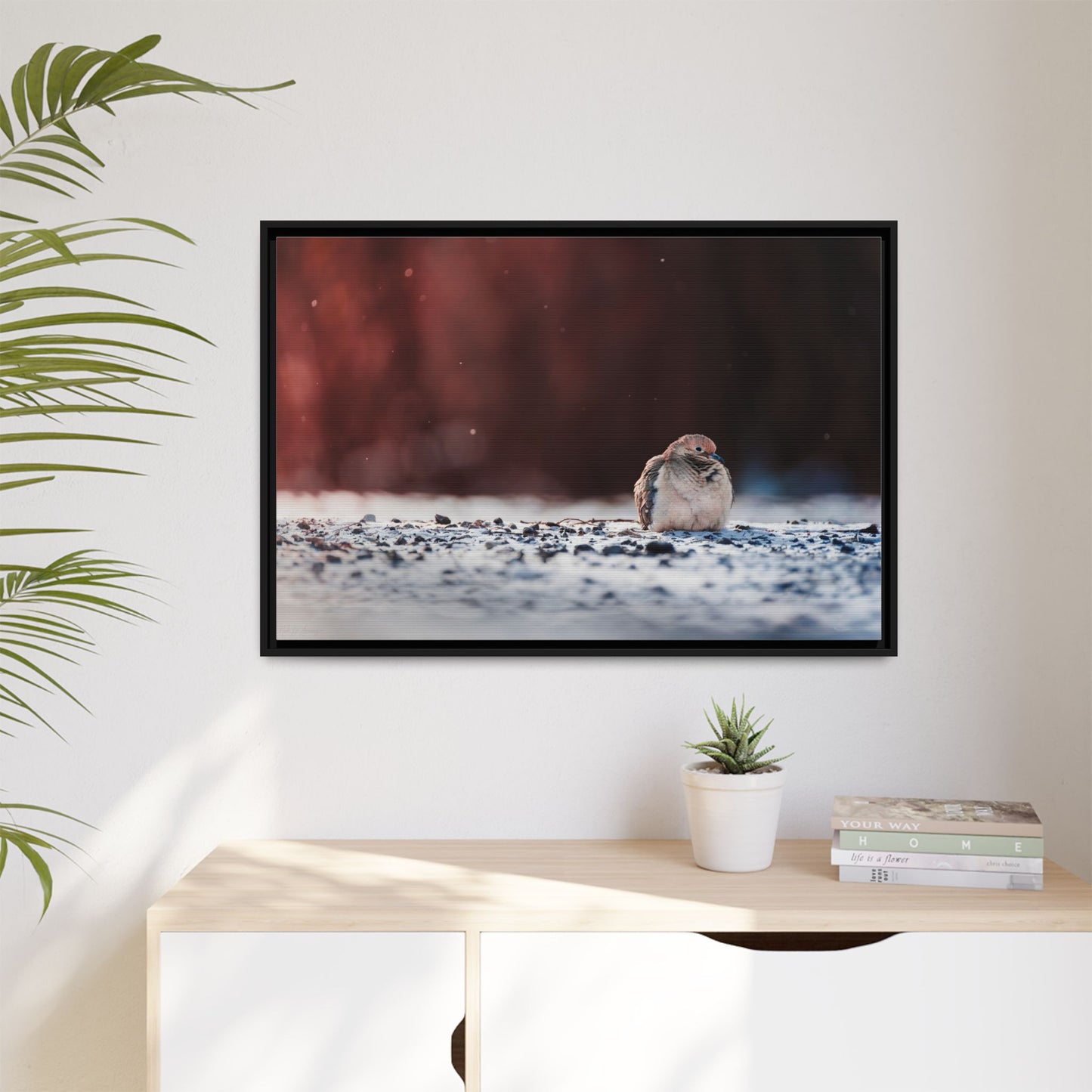 Dove | Framed Canvas