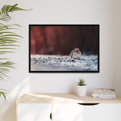 Dove | Framed Canvas