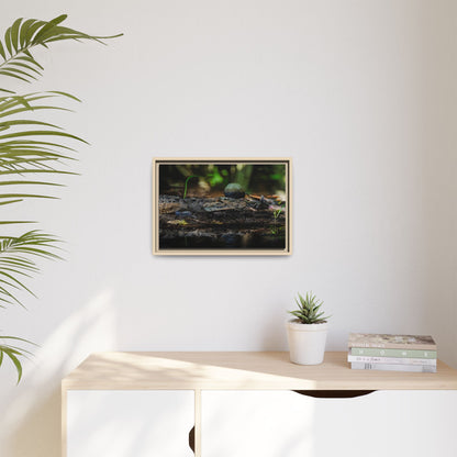 Oaxacroc | Framed Canvas