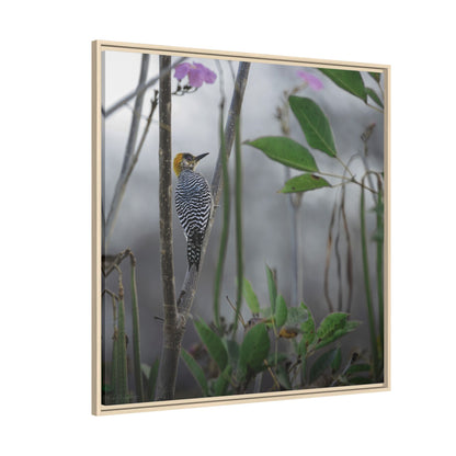 Golden Cheek | Framed Canvas