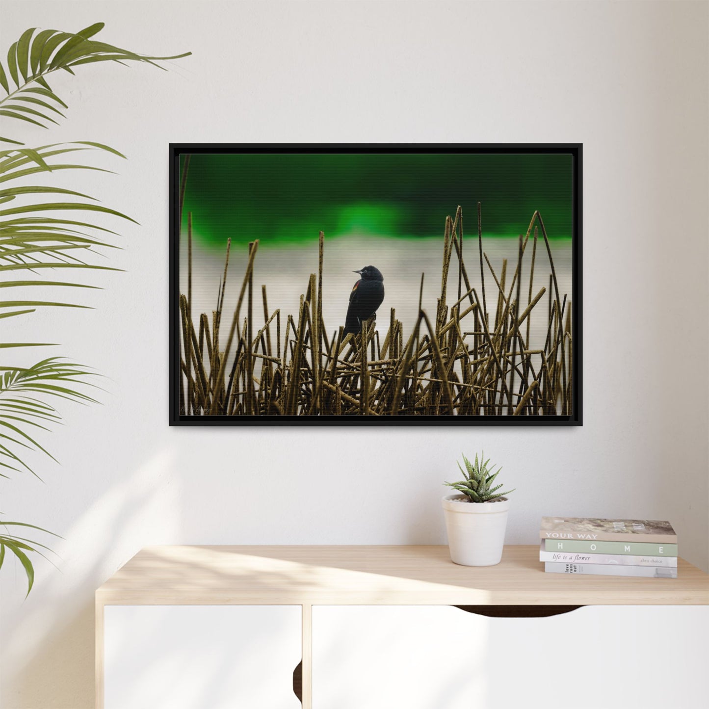 Blackbird | Framed Canvas