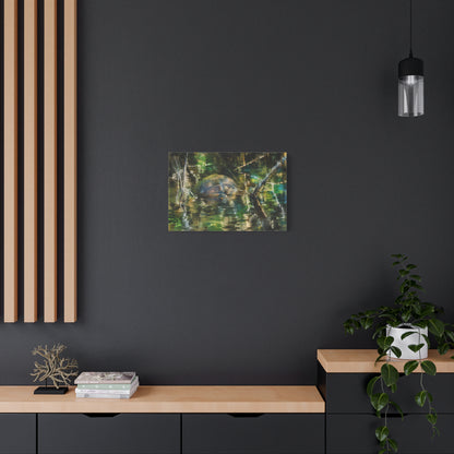 Painted Turtle Abstract Canvas Print