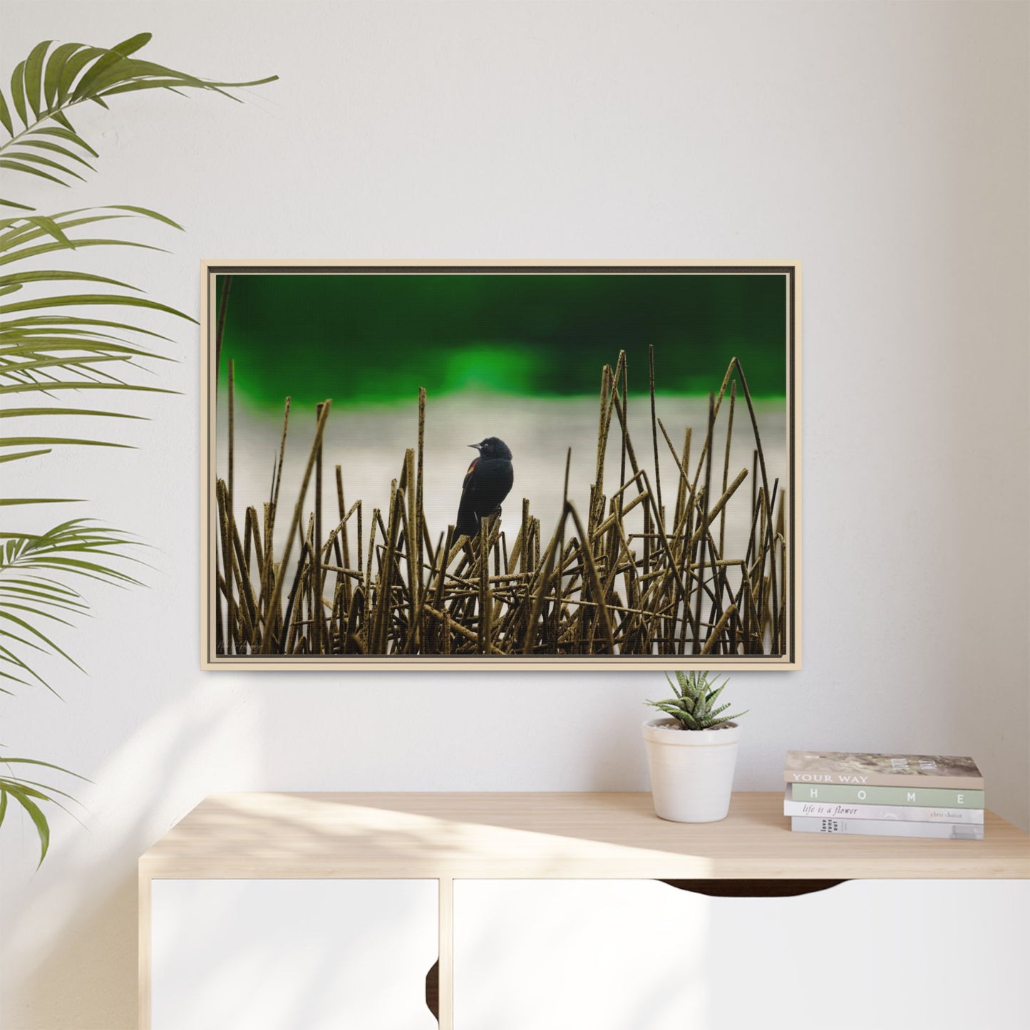 Blackbird | Framed Canvas