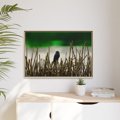 Blackbird | Framed Canvas