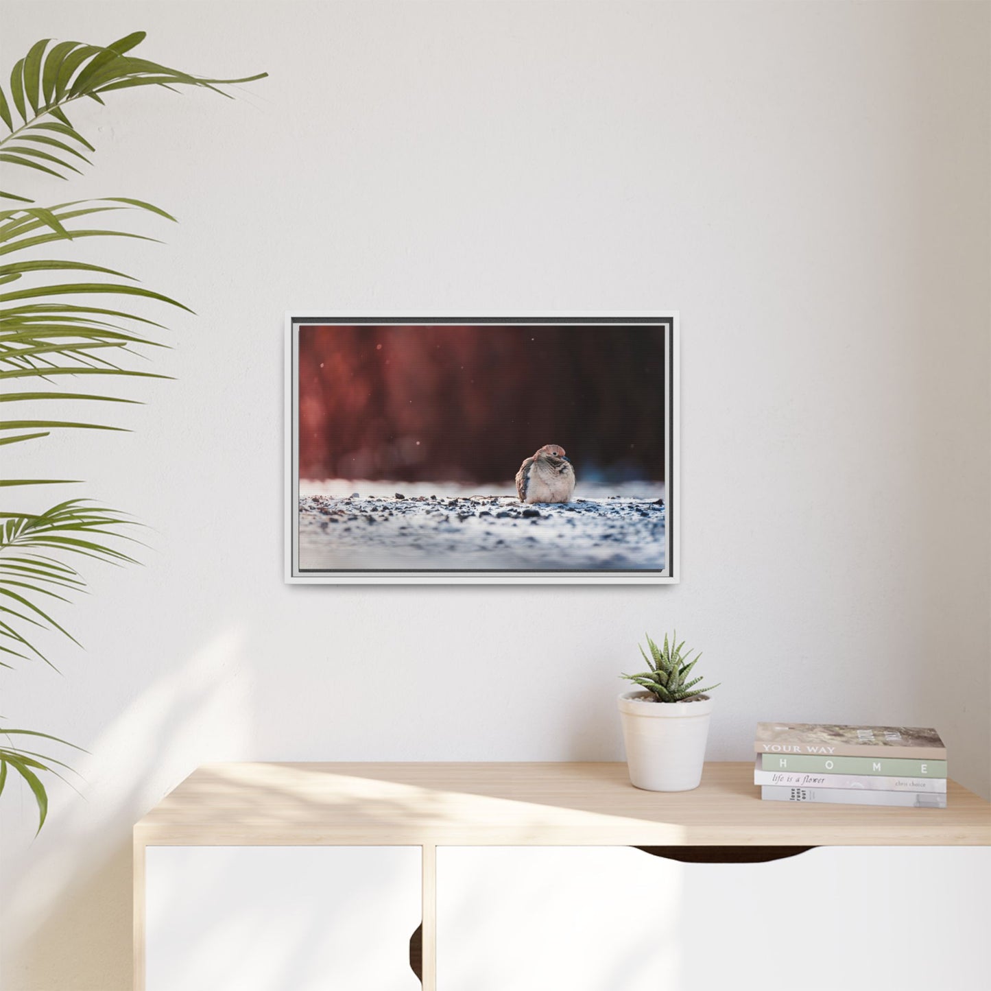 Dove | Framed Canvas