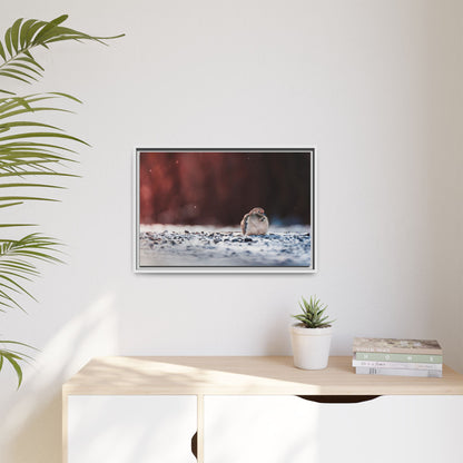 Dove | Framed Canvas