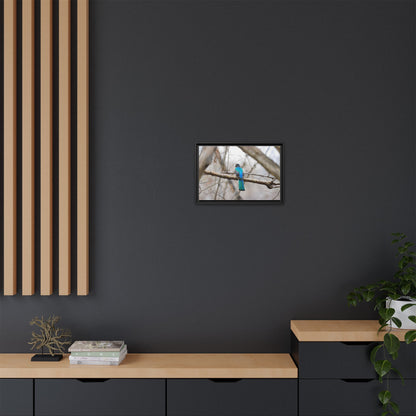 Citrine Trogon | Framed Canvas