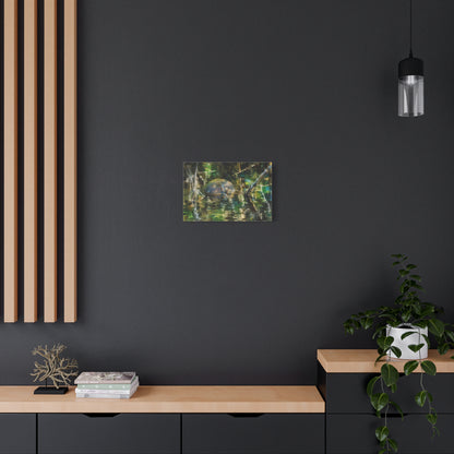 Painted Turtle Abstract Canvas Print