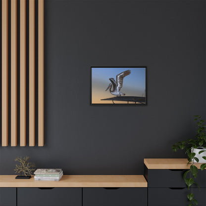 Coastal Pelican | Framed Canvas