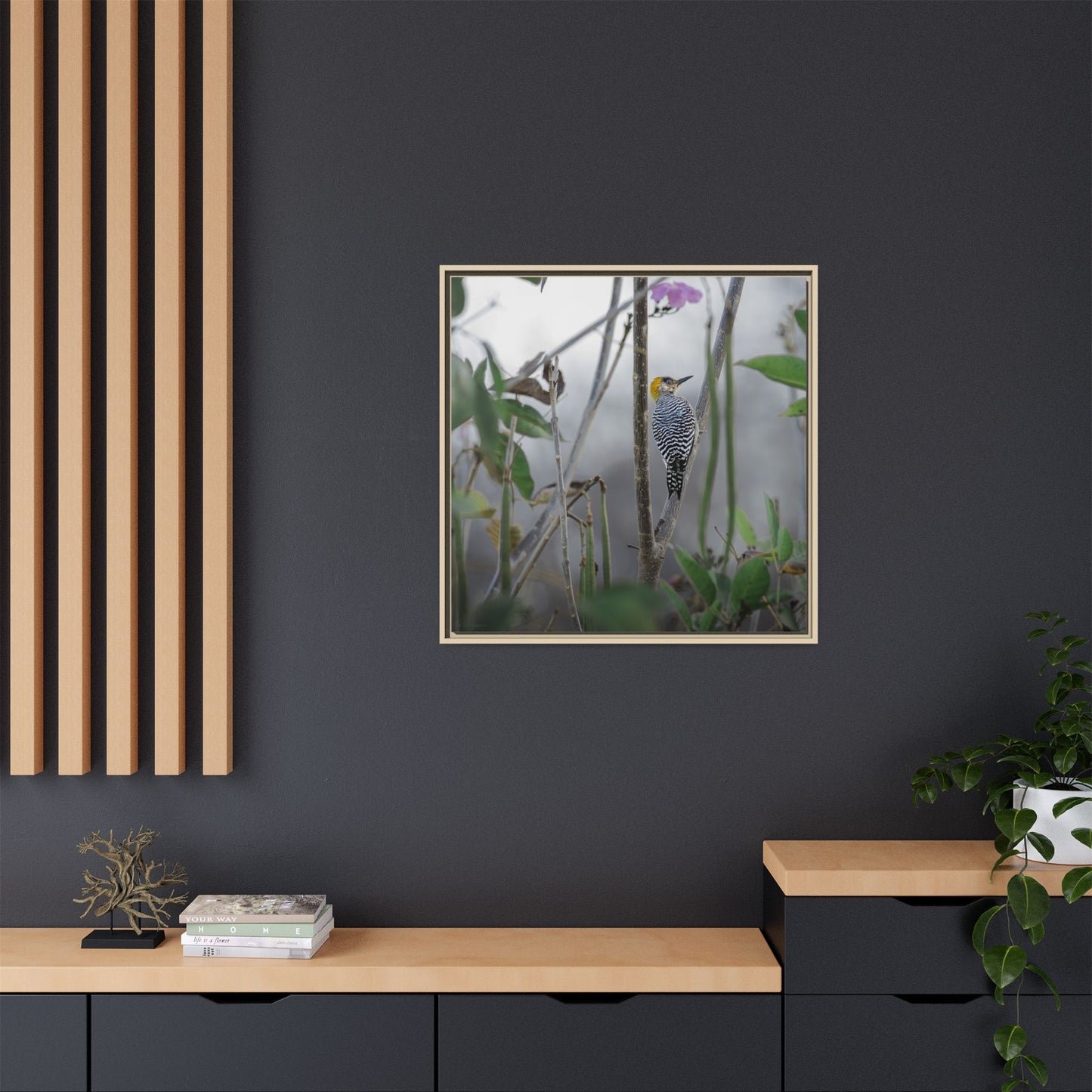 Golden-Cheeked Woodpecker II Framed Canvas Print