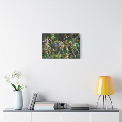 Painted Turtle Abstract Canvas Print