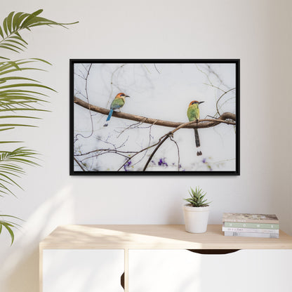 Twin Motmot | Framed Canvas