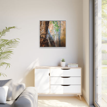 Pacific Screech | Framed Canvas