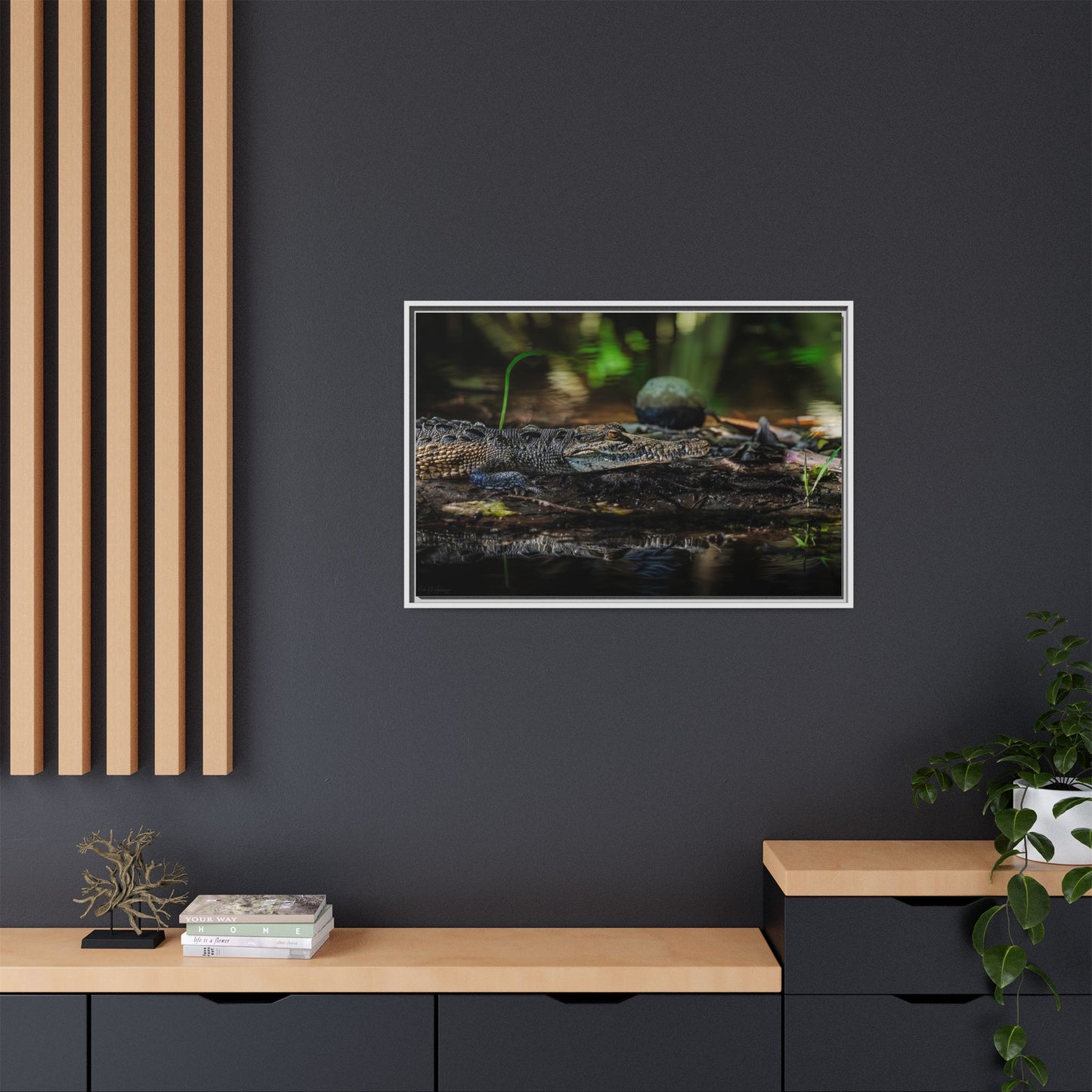 Oaxacroc | Framed Canvas