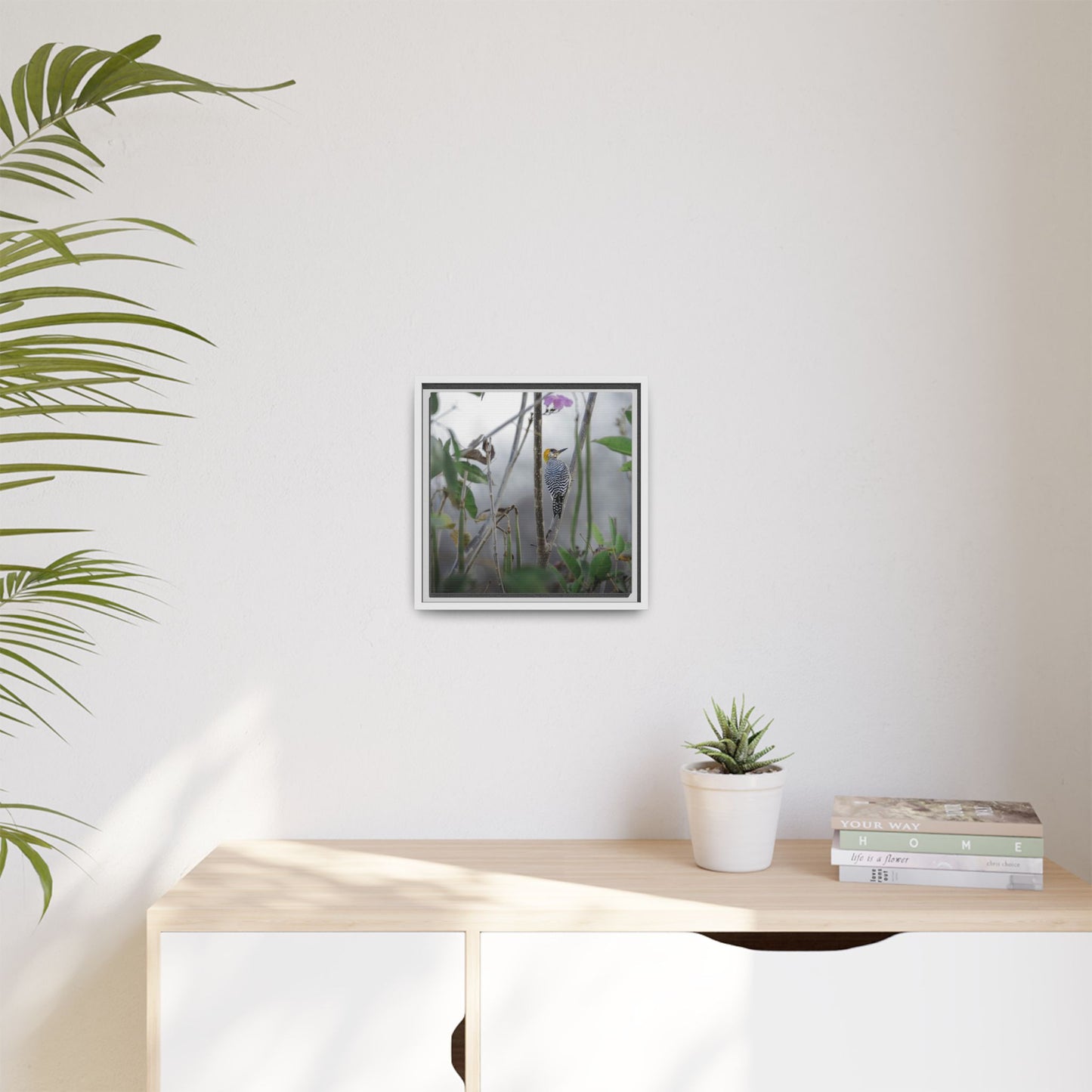 Golden-Cheeked Woodpecker II Framed Canvas Print