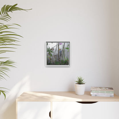 Golden-Cheeked Woodpecker II Framed Canvas Print