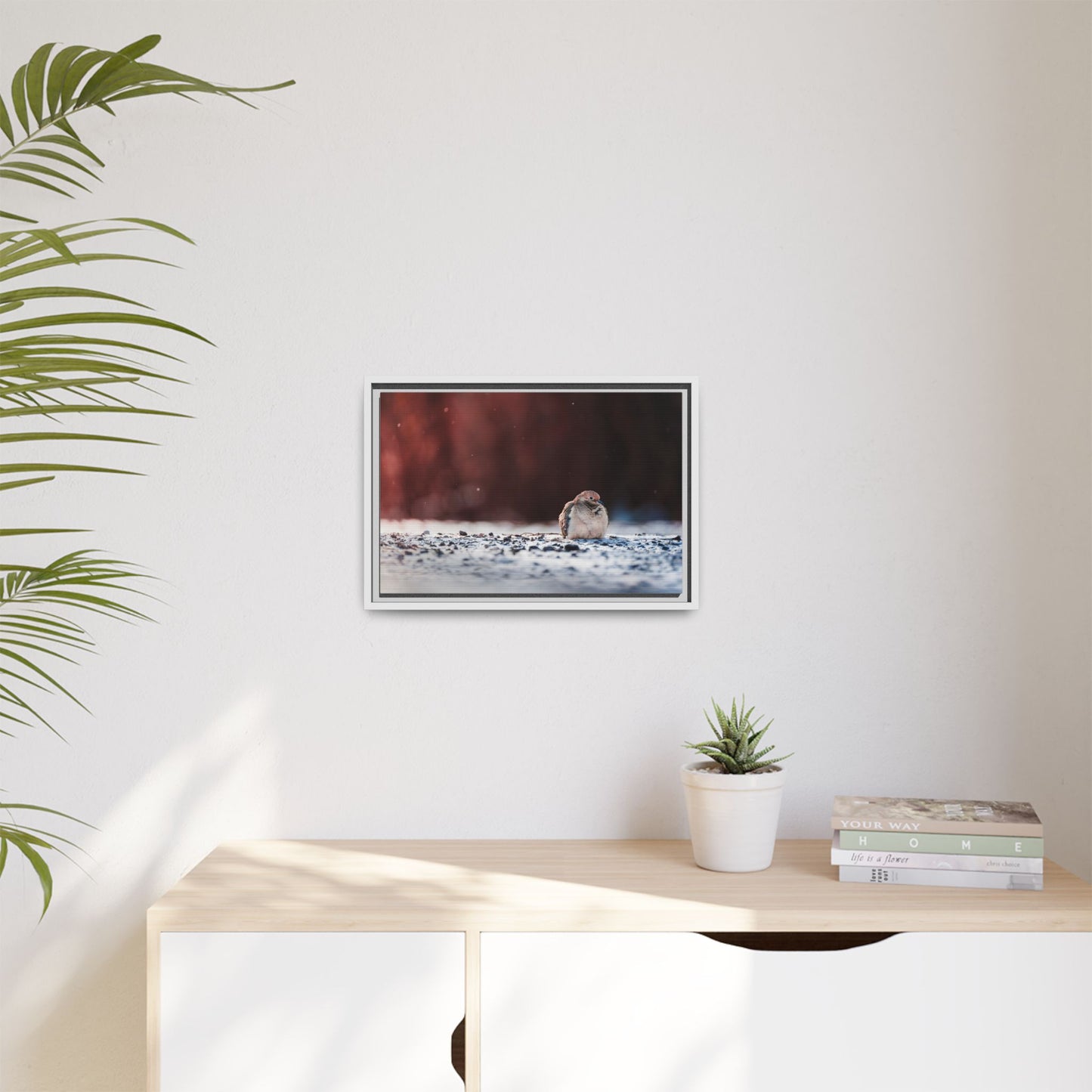 Dove | Framed Canvas