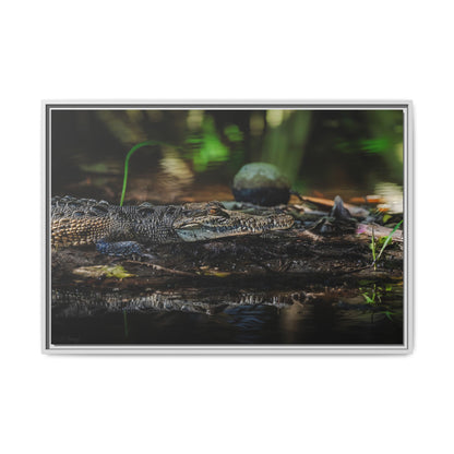 Oaxacroc | Framed Canvas
