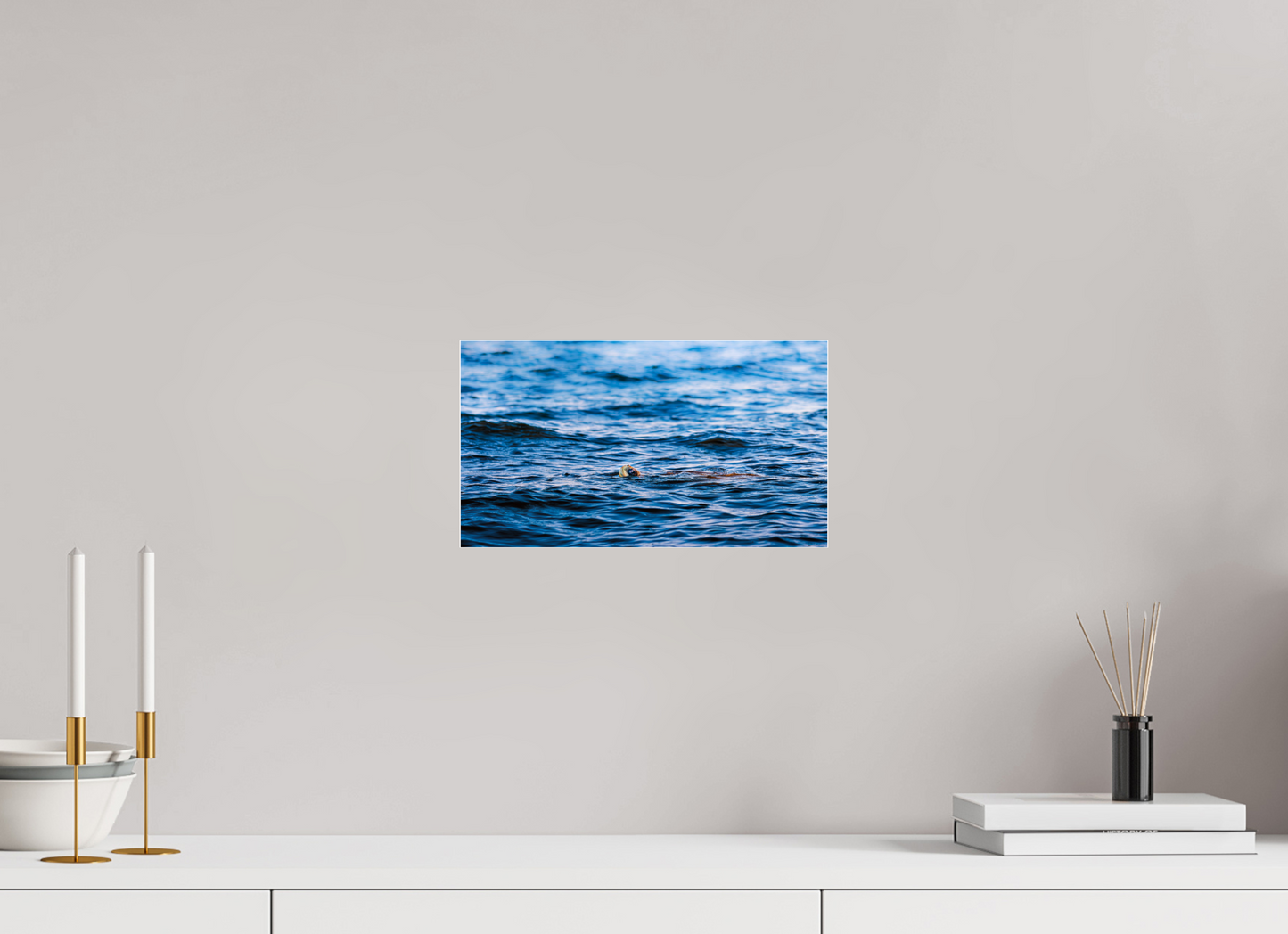 32 x 18 cm, Photo Print Under Acrylic Glass 4 mm, Glossy RIDLEY TORTUGA