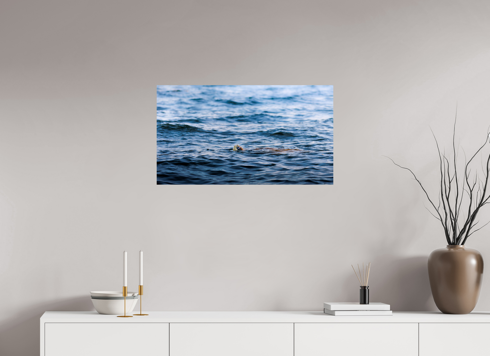 80 x 45 cm, Photo Print on Fuji Crystal DP II, Glossy RIDLEY TORTUGA