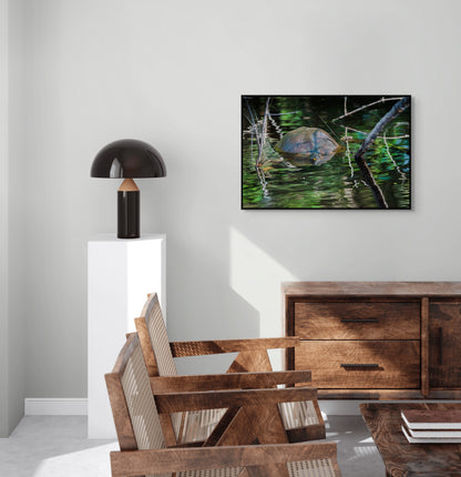 Untitled (Painted Turtle) | Canvas Print