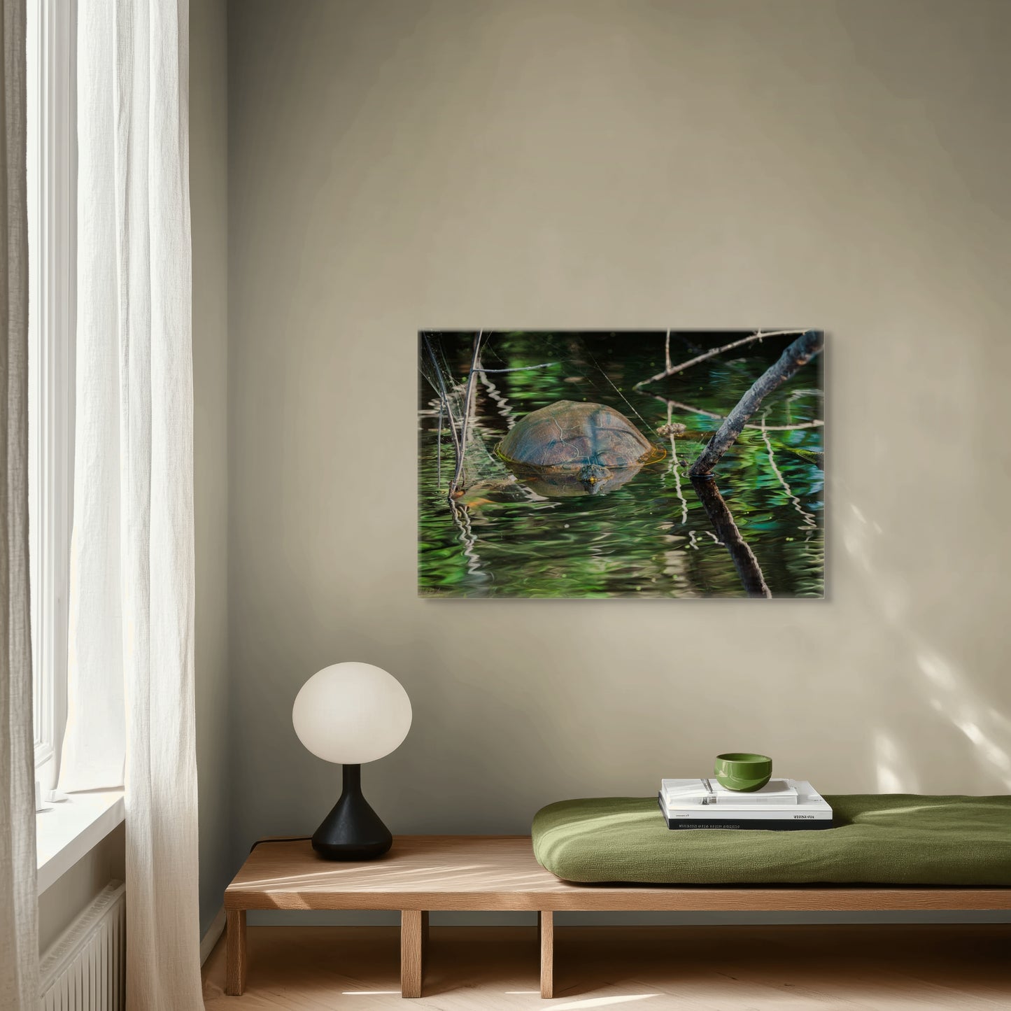 Untitled (Painted Turtle) | Canvas Print