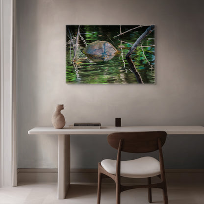 Untitled (Painted Turtle) | Canvas Print