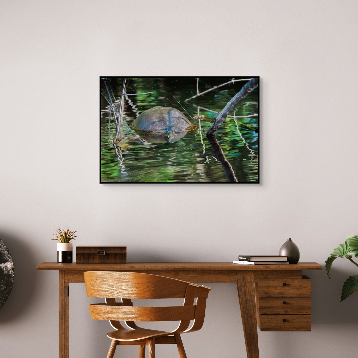 Untitled (Painted Turtle) | Canvas Print