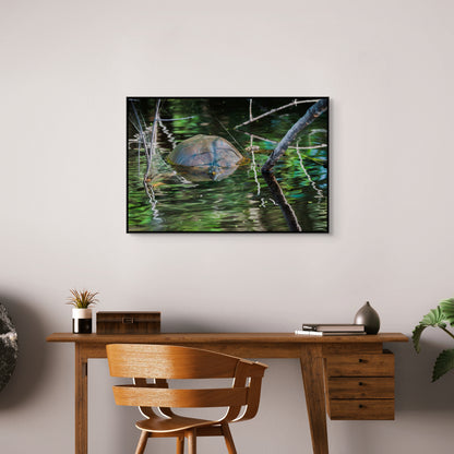 Untitled (Painted Turtle) | Canvas Print