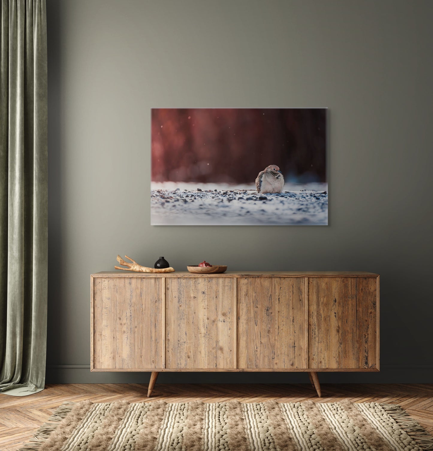 Dove | Canvas Print