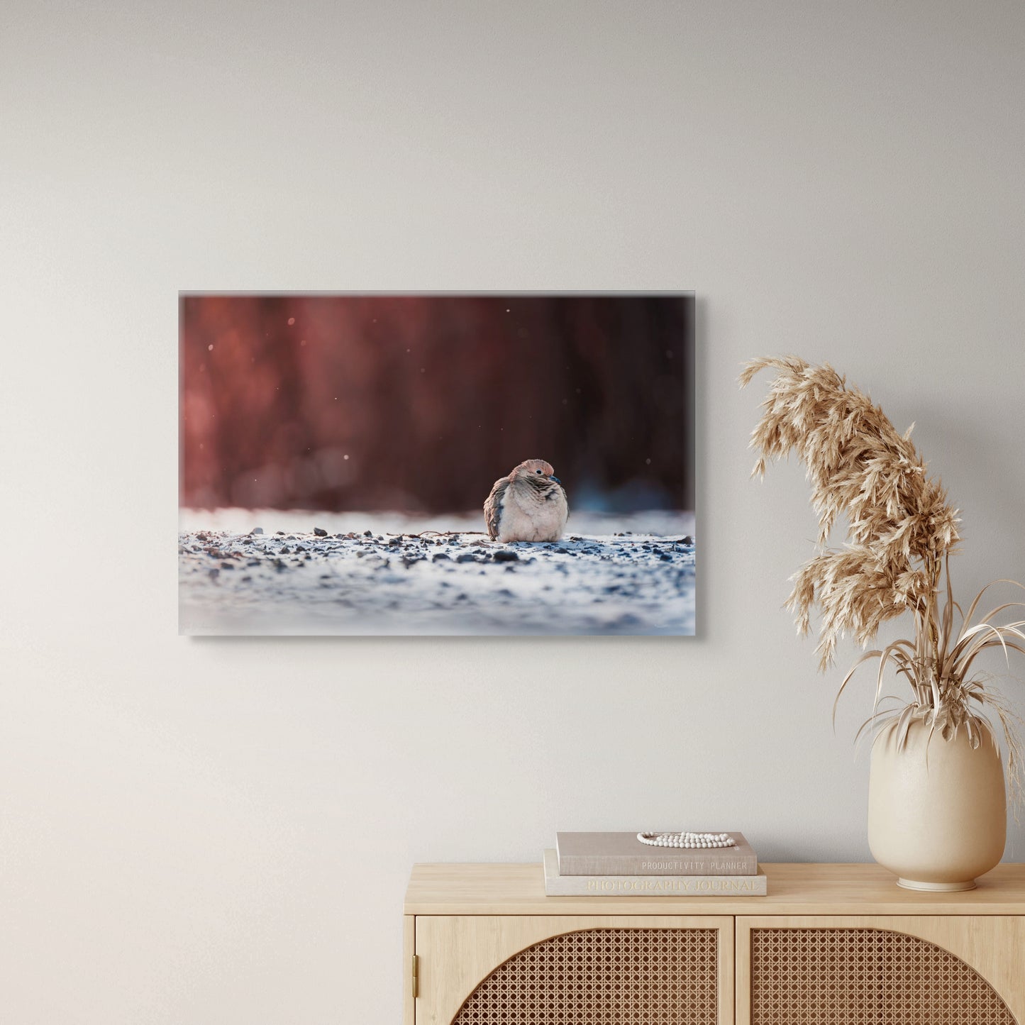 Dove | Canvas Print