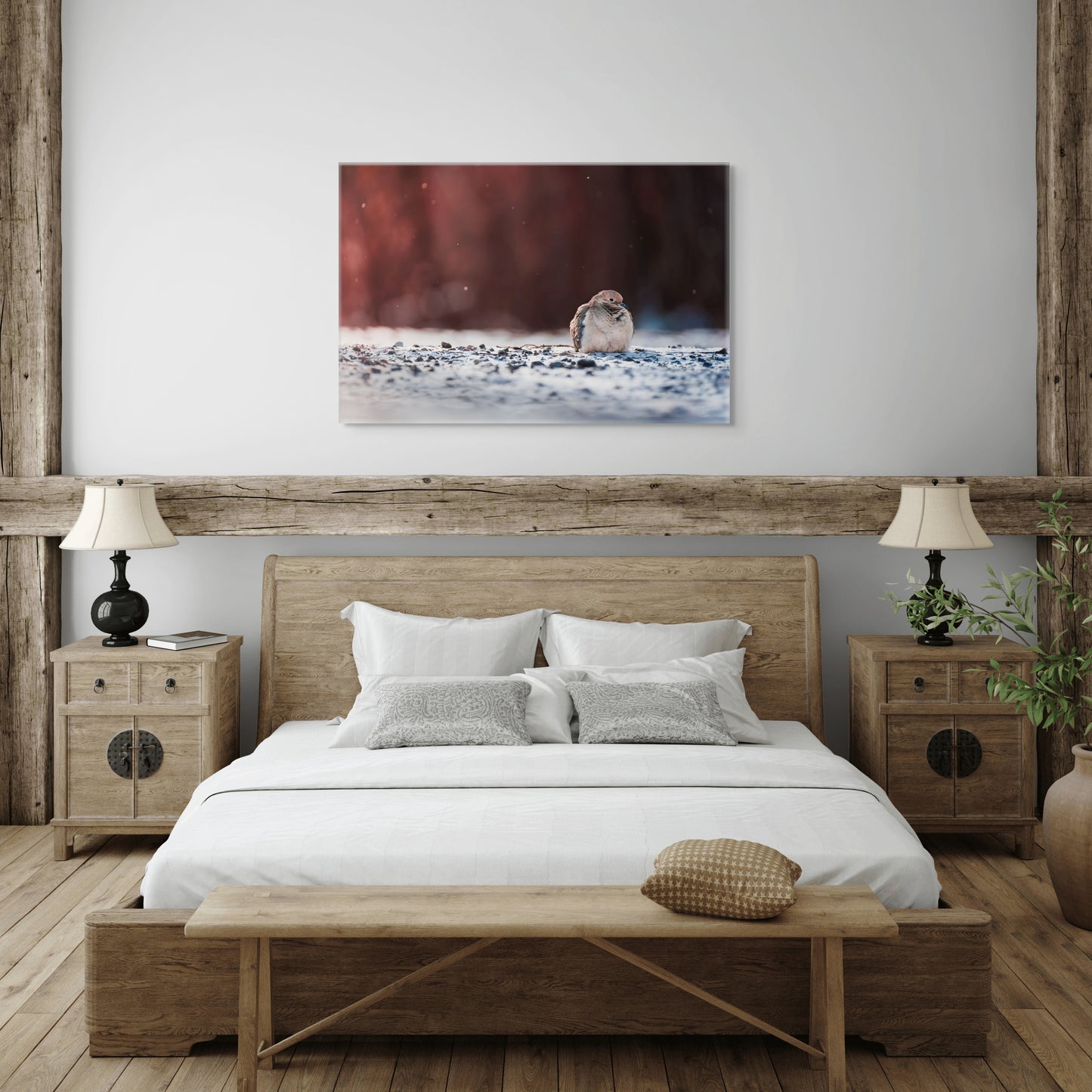 Dove | Canvas Print