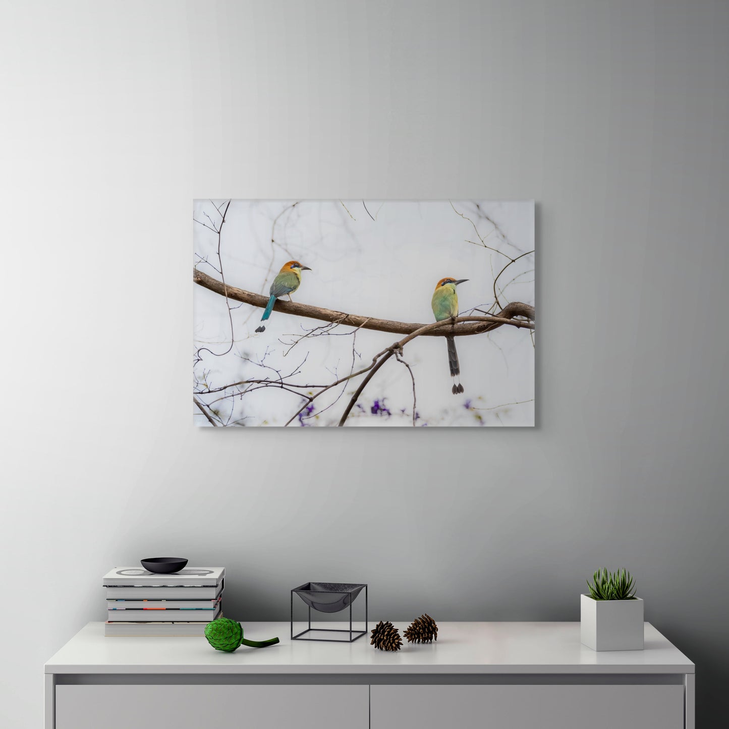 Twin Motmot | Canvas Print