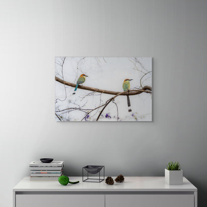 Twin Motmot | Canvas Print