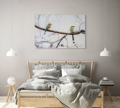 Twin Motmot | Canvas Print