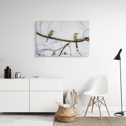 Twin Motmot | Canvas Print