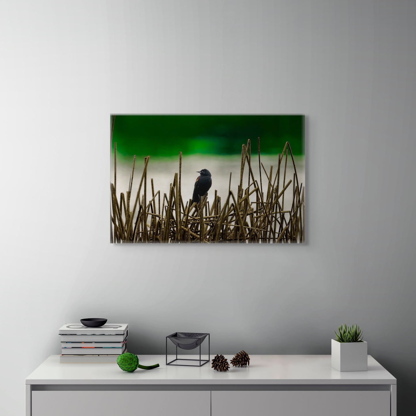 Blackbird | Canvas Print