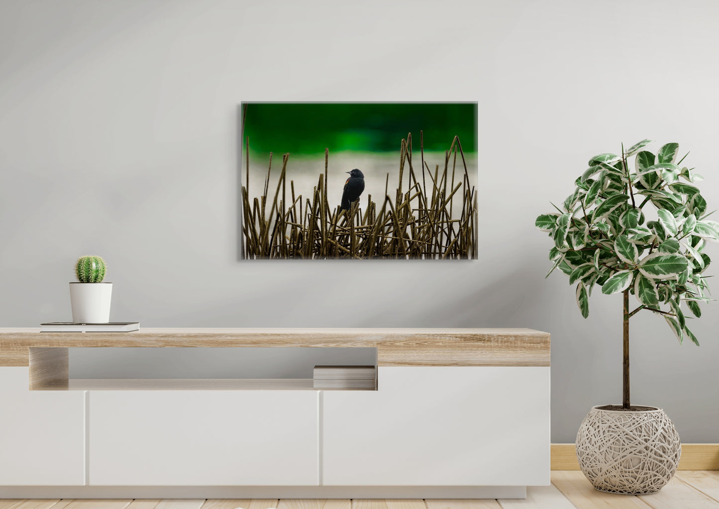 Blackbird | Canvas Print