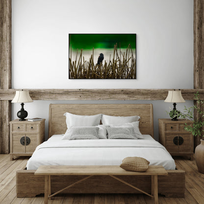 Blackbird | Canvas Print