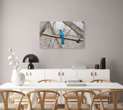 Citrine Trogon | Canvas Print