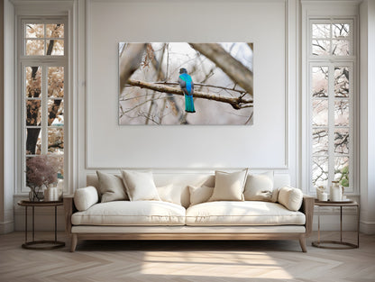 Citrine Trogon | Canvas Print