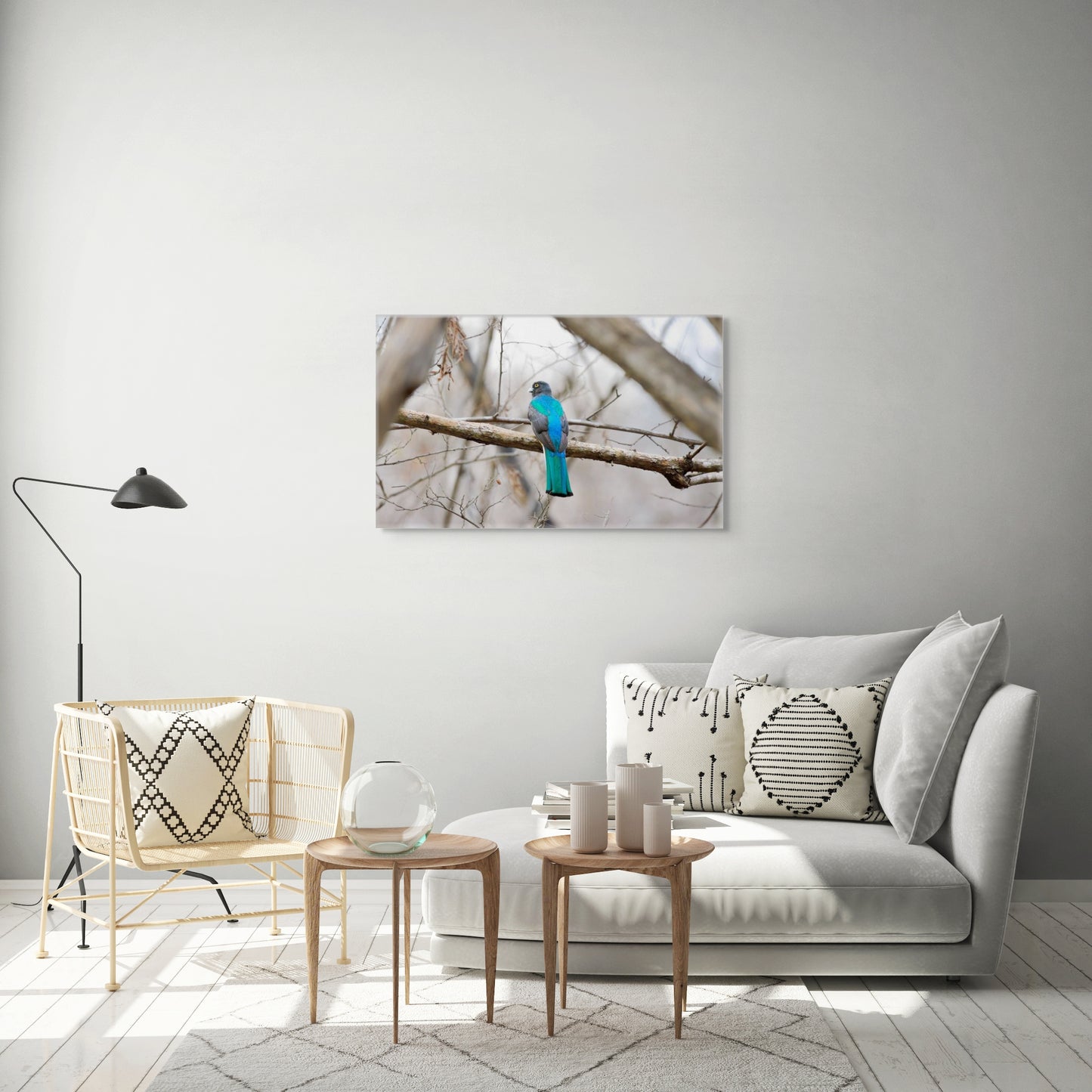 Citrine Trogon | Canvas Print