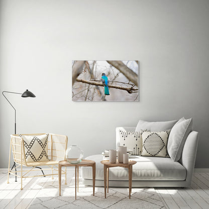 Citrine Trogon | Canvas Print