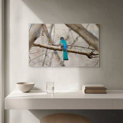 Citrine Trogon | Canvas Print